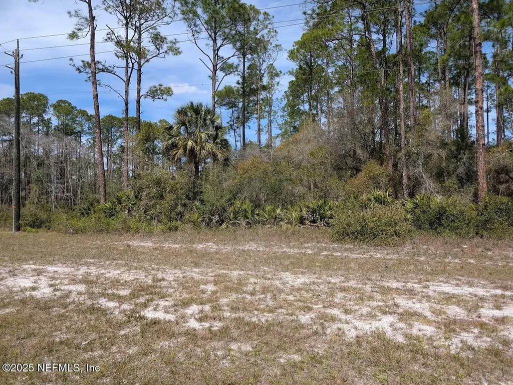 350 & 354 Georgetown Denver Road Georgetown FL 32139