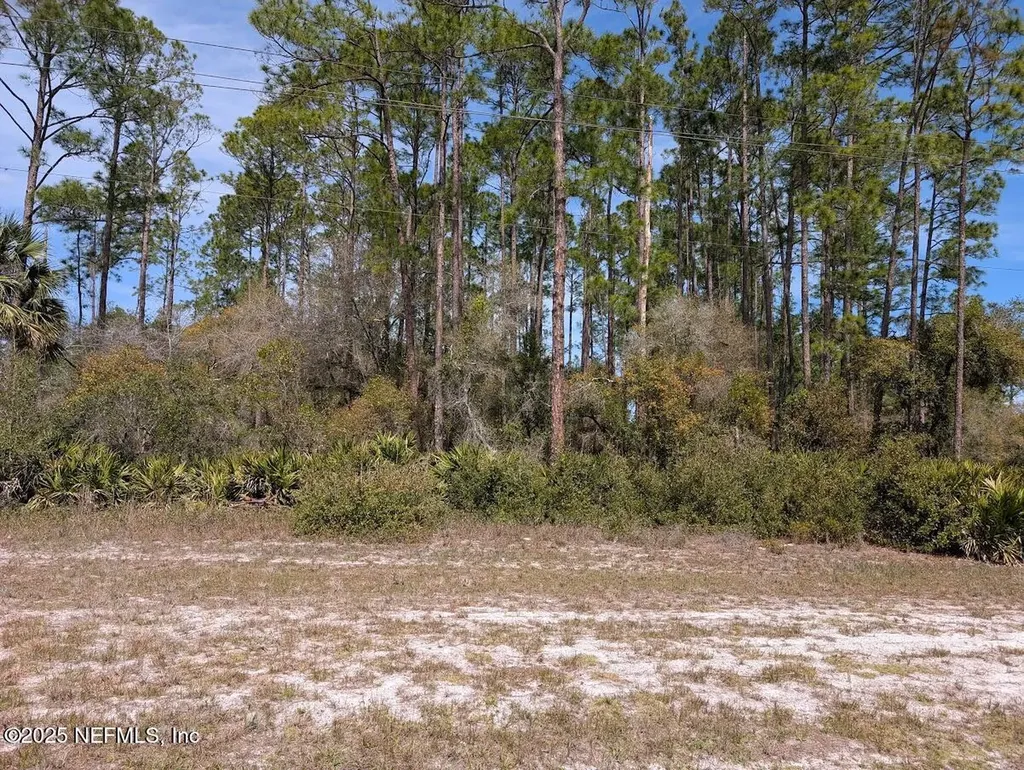 350 & 354 Georgetown Denver Road Georgetown FL 32139
