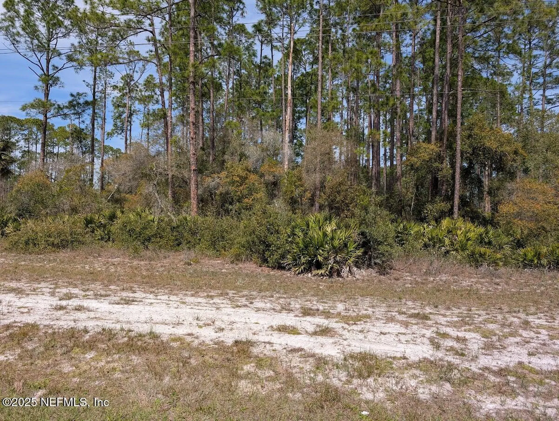 350 & 354 Georgetown Denver Road Georgetown FL 32139