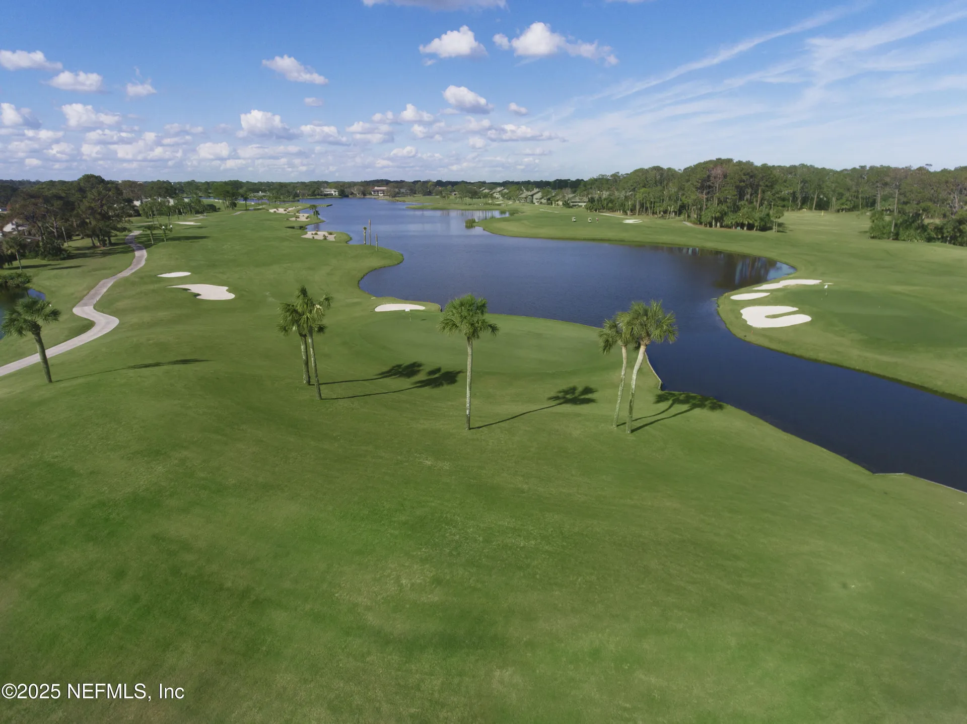 1515 Birkdale Lane Ponte Vedra Beach FL 32082