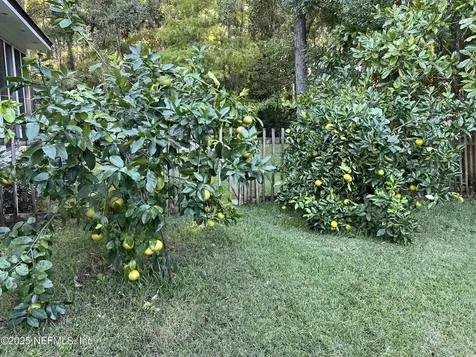 1638 Sandy Springs Drive Fleming Island FL 32003