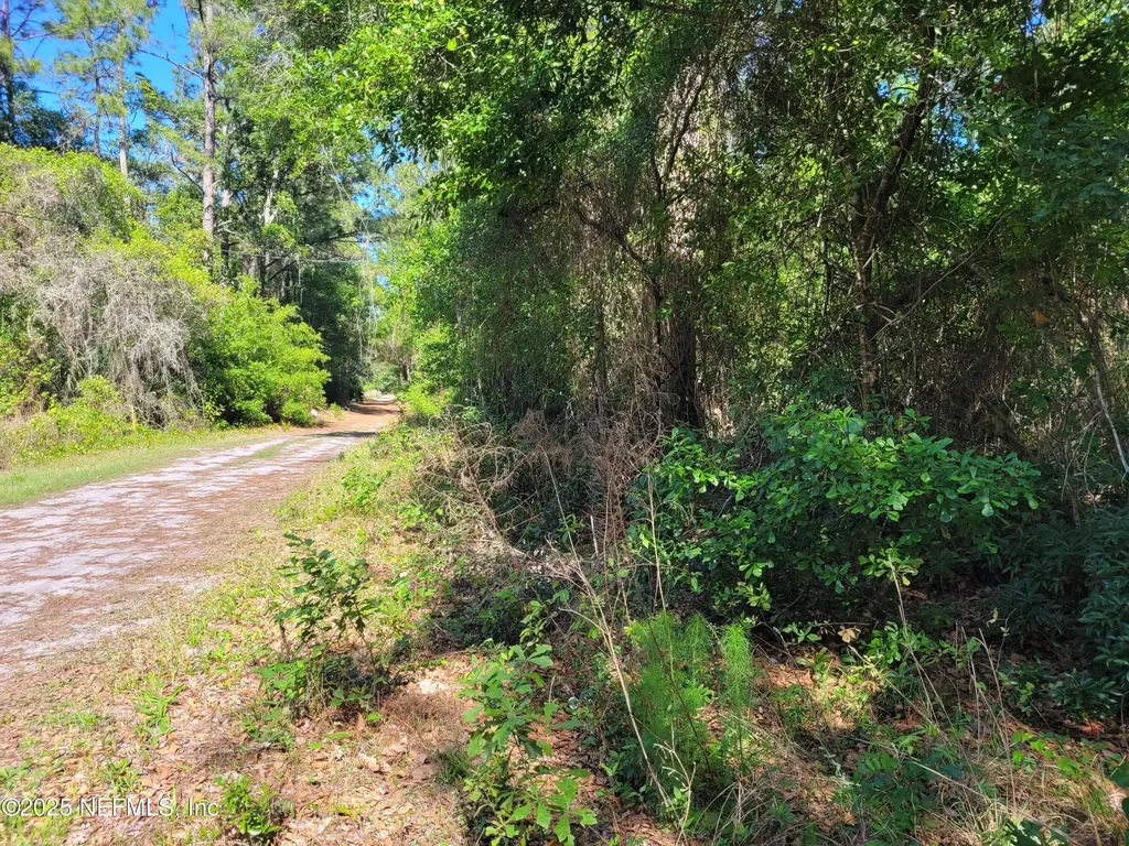 209 Southern Avenue Crescent City FL 32112