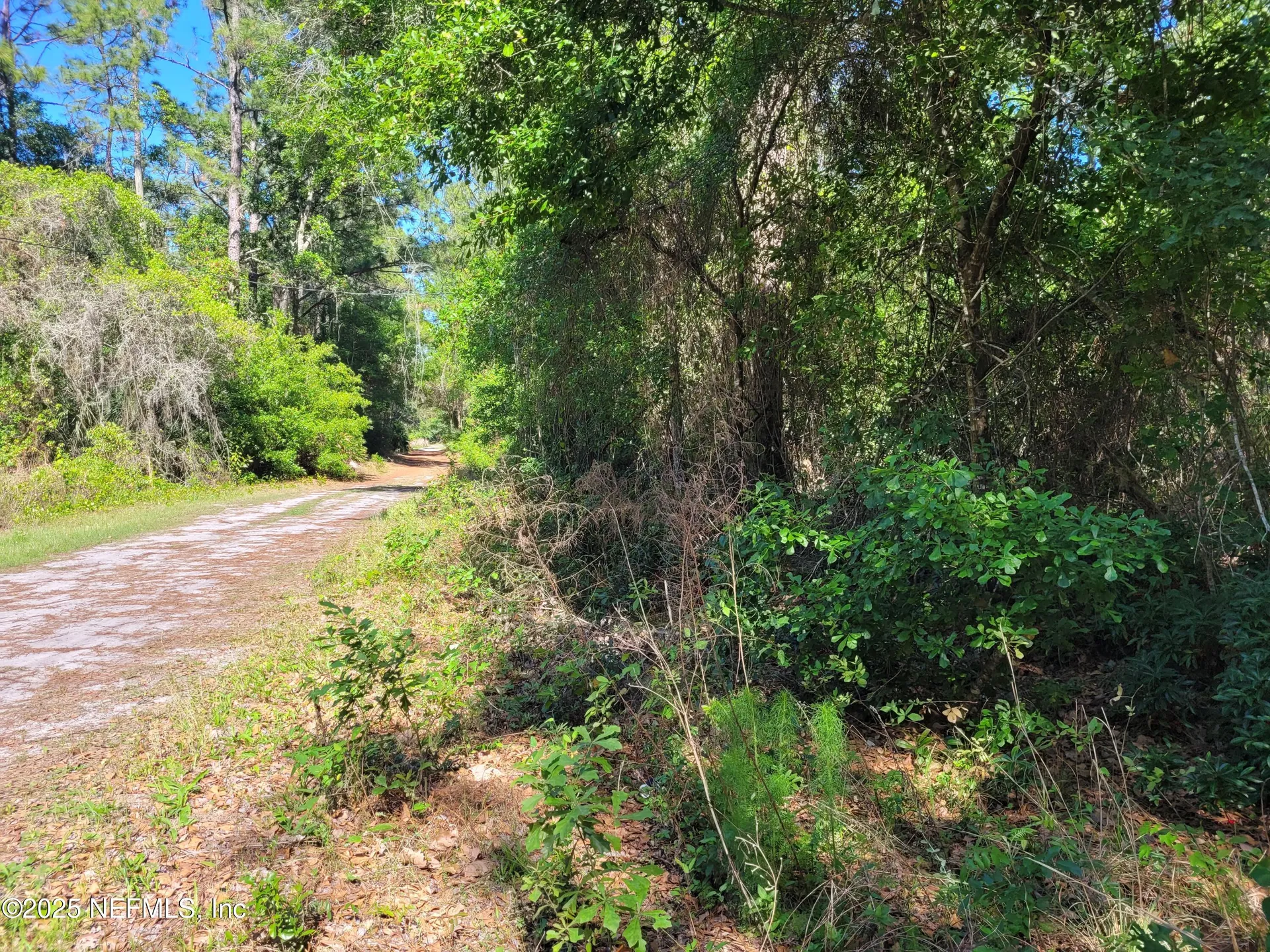 209 Southern Avenue Crescent City FL 32112
