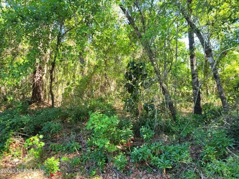 209 Southern Avenue Crescent City FL 32112