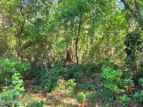 209 Southern Avenue Crescent City FL 32112