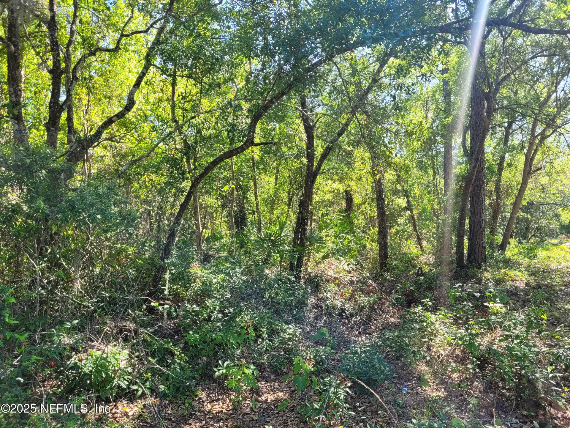 203 Southern Avenue Crescent City FL 32112