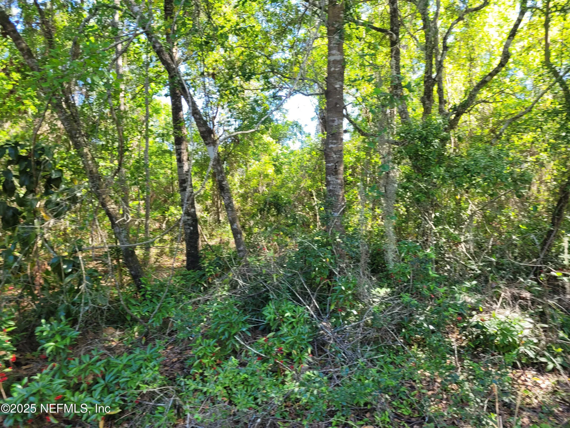 203 Southern Avenue Crescent City FL 32112