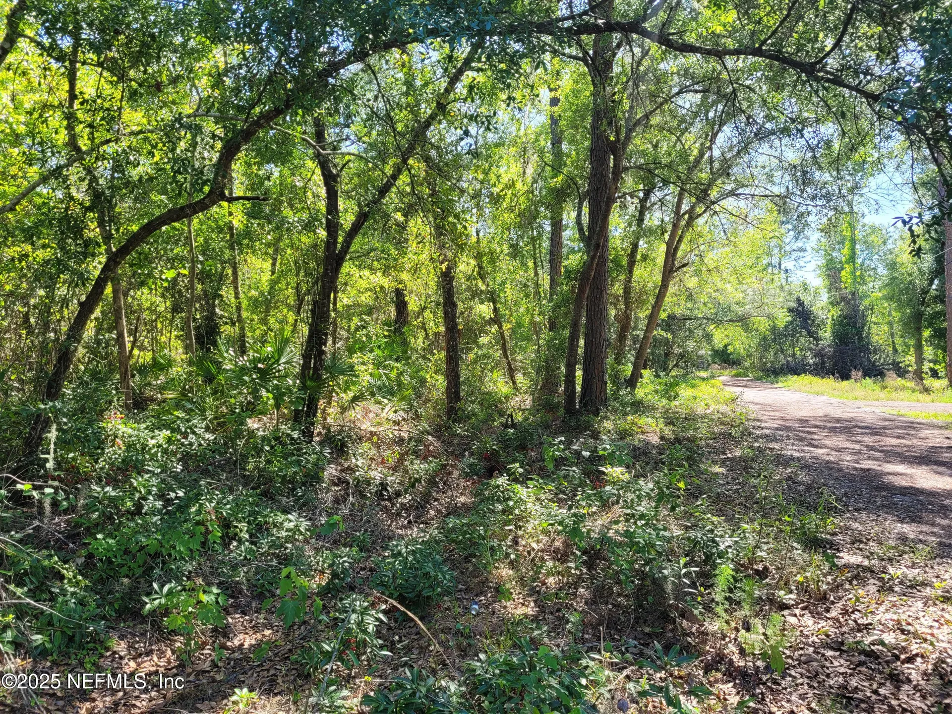 203 Southern Avenue Crescent City FL 32112