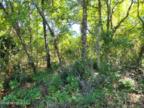 203 Southern Avenue Crescent City FL 32112