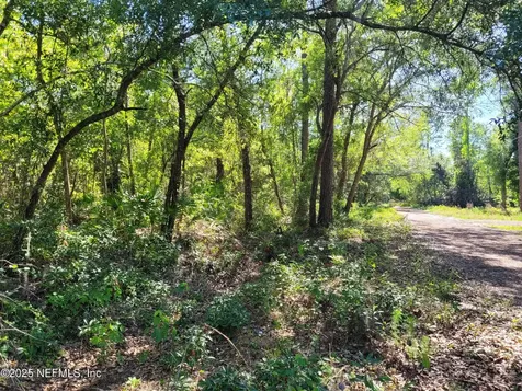 203 Southern Avenue Crescent City FL 32112