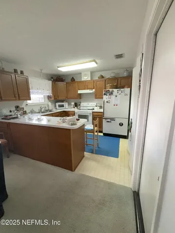 1387 Pawnee Street Orange Park FL 32065