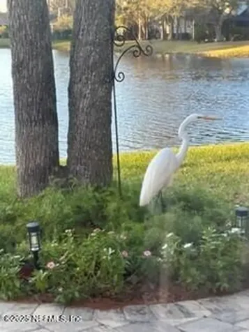 1506 Waterbridge Court Fleming Island FL 32003