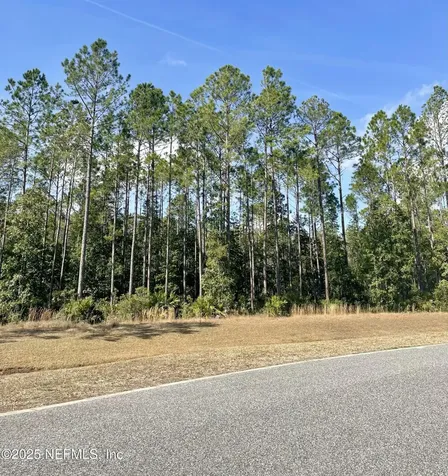 11068 Blazing Ridge Court Jacksonville FL 32219