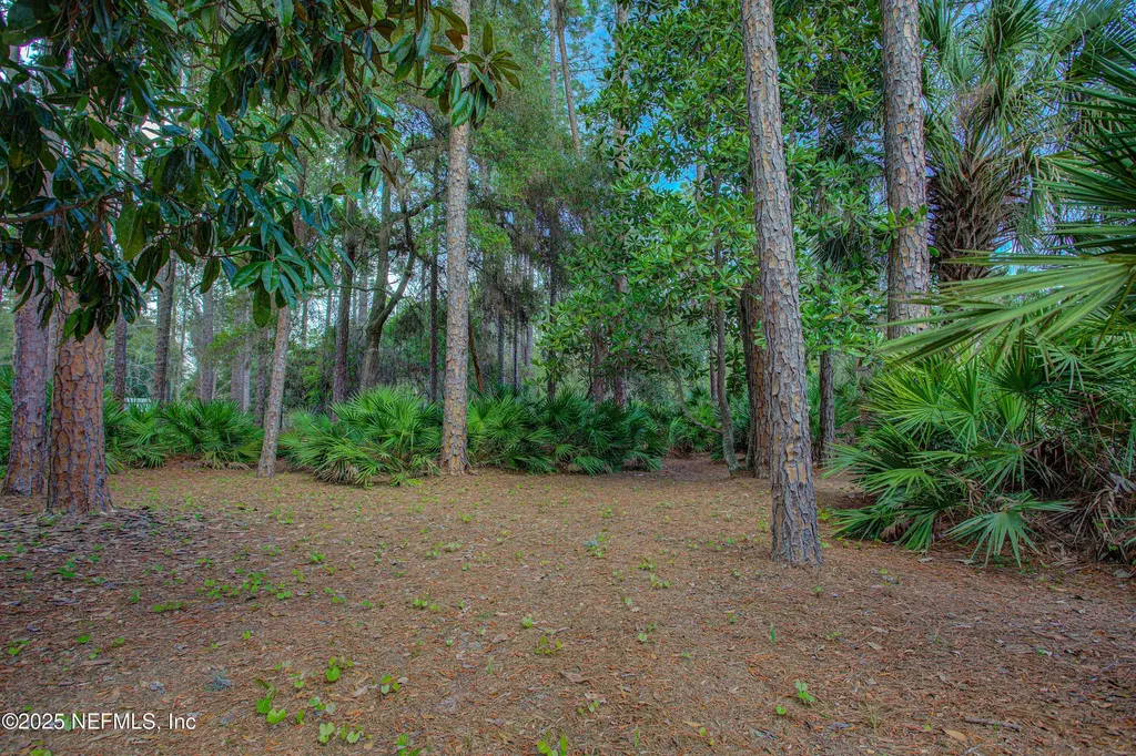 143 Mosswood Street Georgetown FL 32139