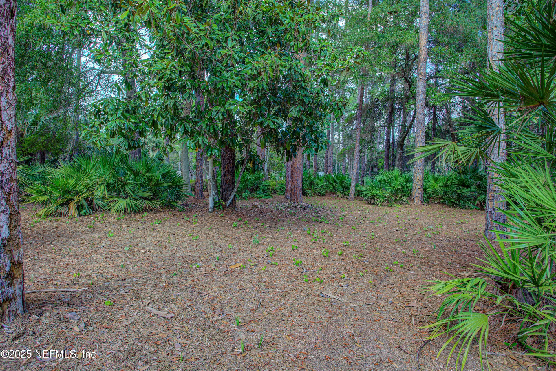 143 Mosswood Street Georgetown FL 32139