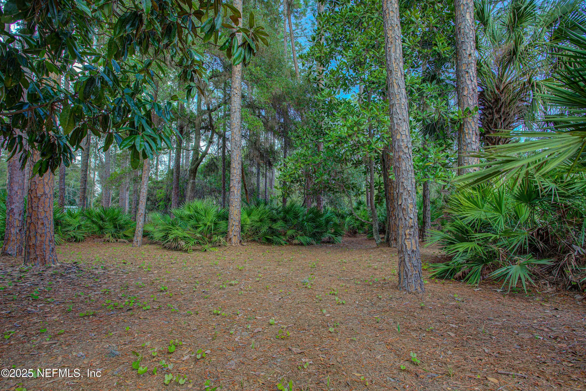 143 Mosswood Street Georgetown FL 32139