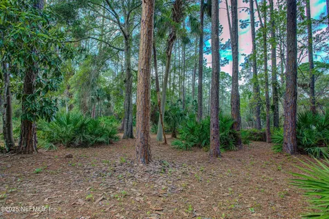 143 Mosswood Street Georgetown FL 32139