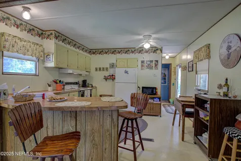 143 Mosswood Street Georgetown FL 32139