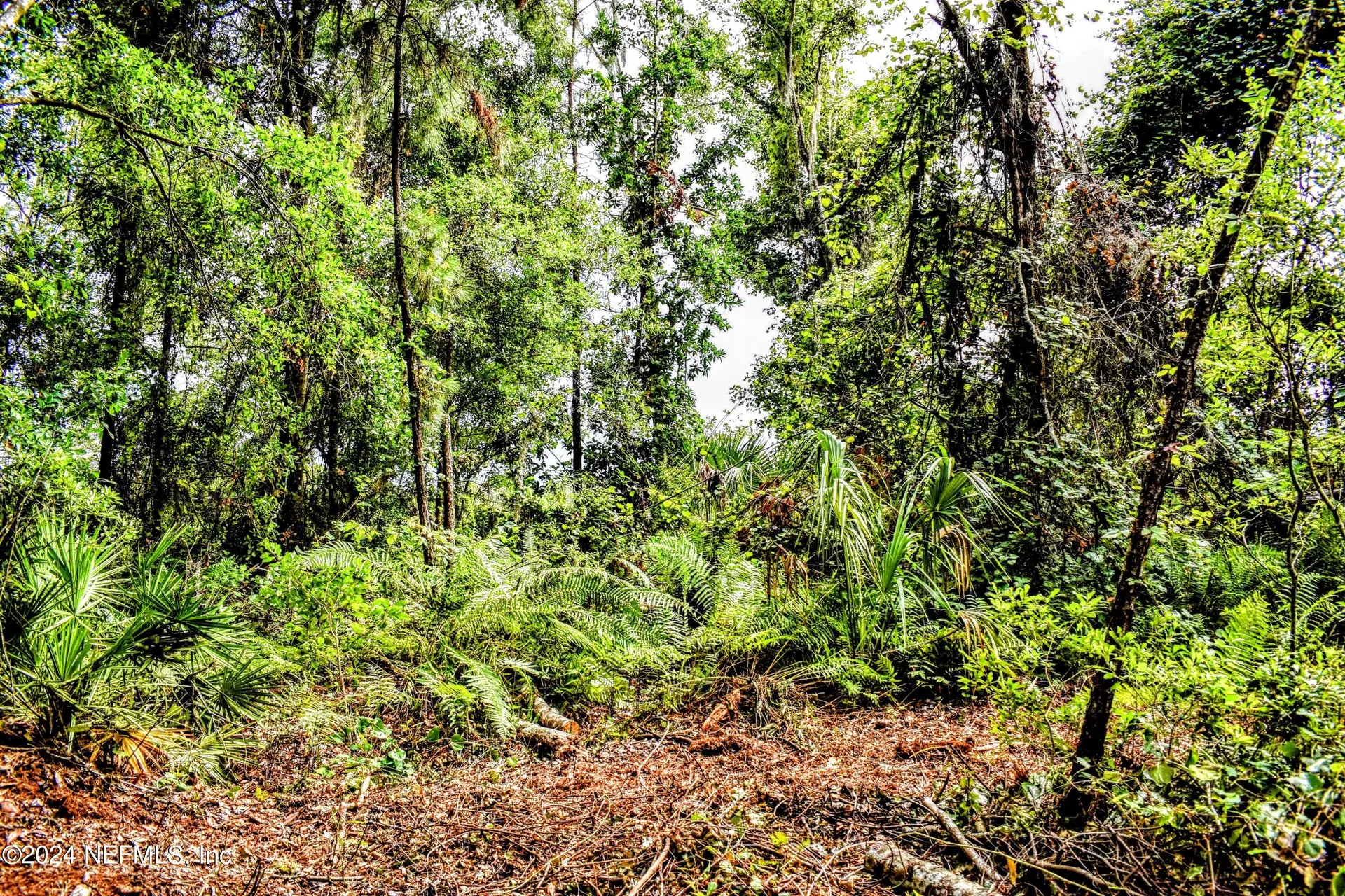 1221 S State Road 19 Palatka FL 32177