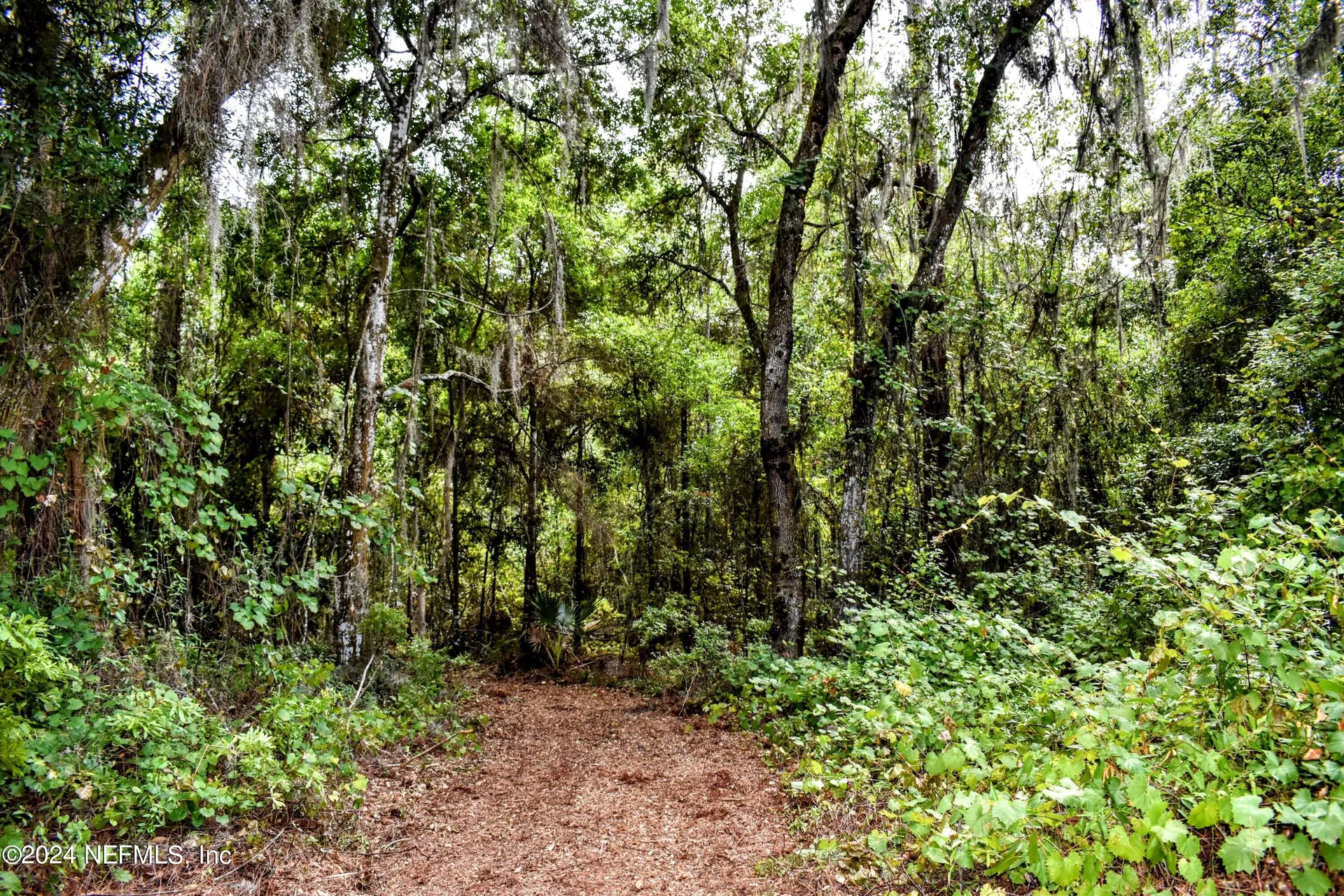 1221 S State Road 19 Palatka FL 32177