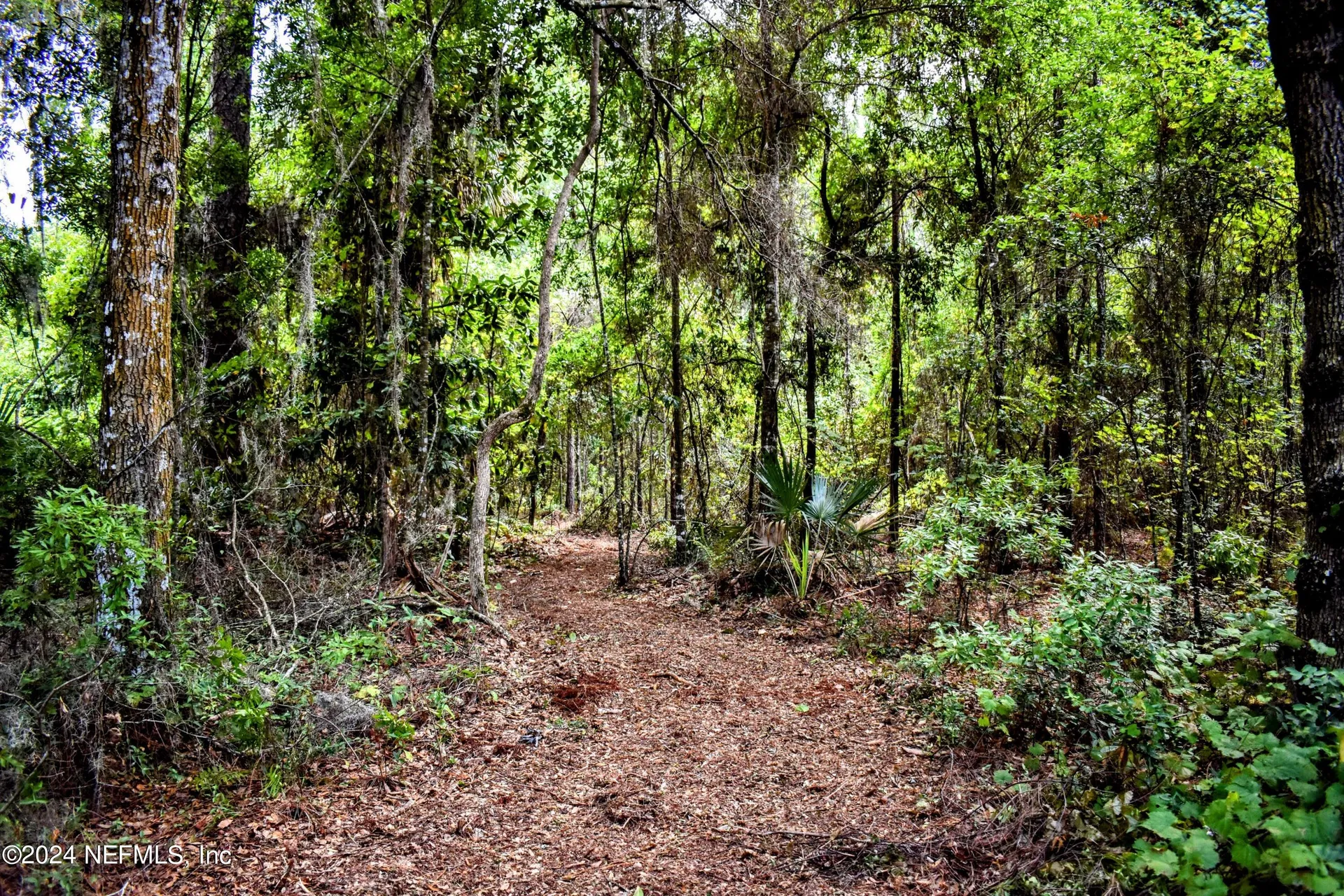 1221 S State Road 19 Palatka FL 32177