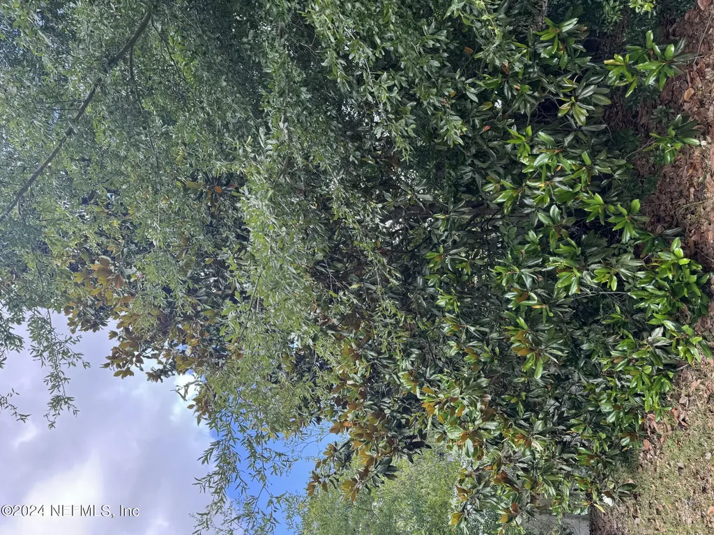 1598 Long Horn Road Middleburg FL 32068