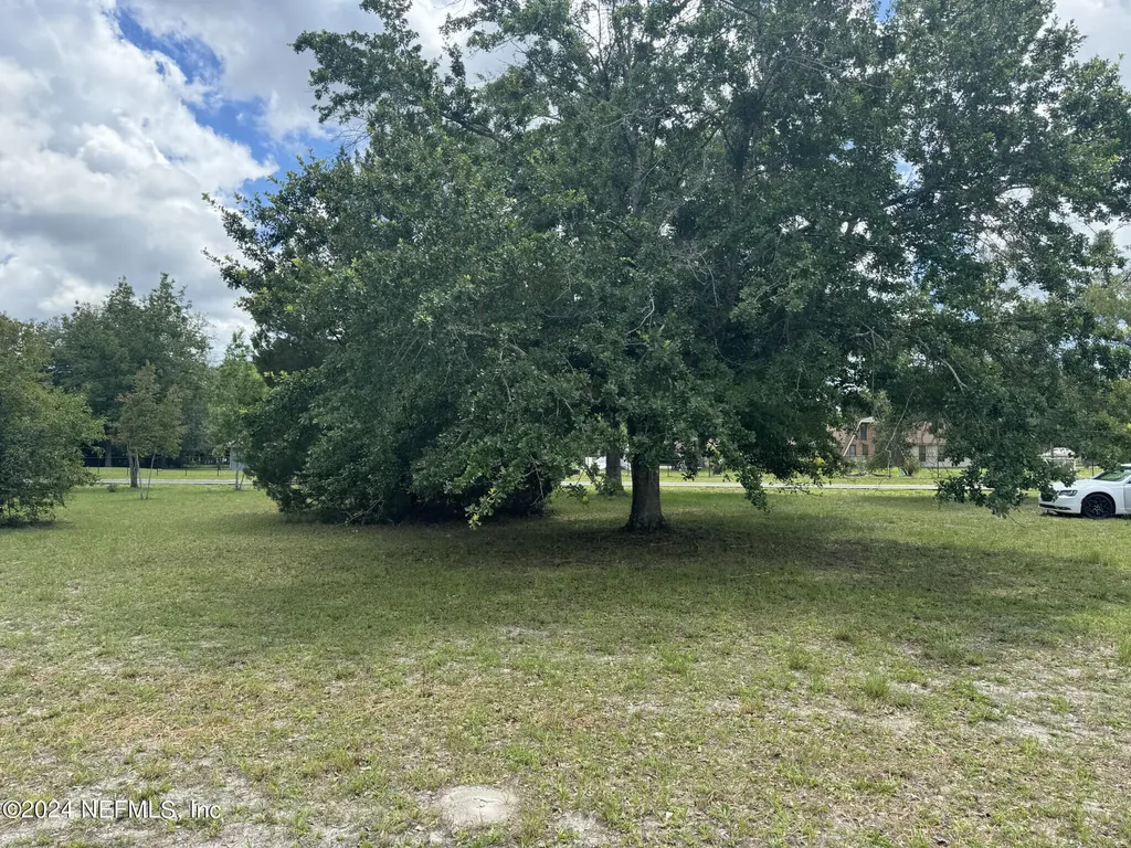 1598 Long Horn Road Middleburg FL 32068