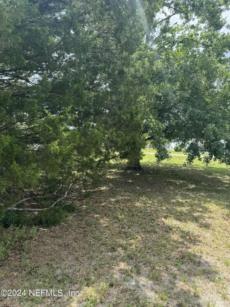 1598 Long Horn Road Middleburg FL 32068