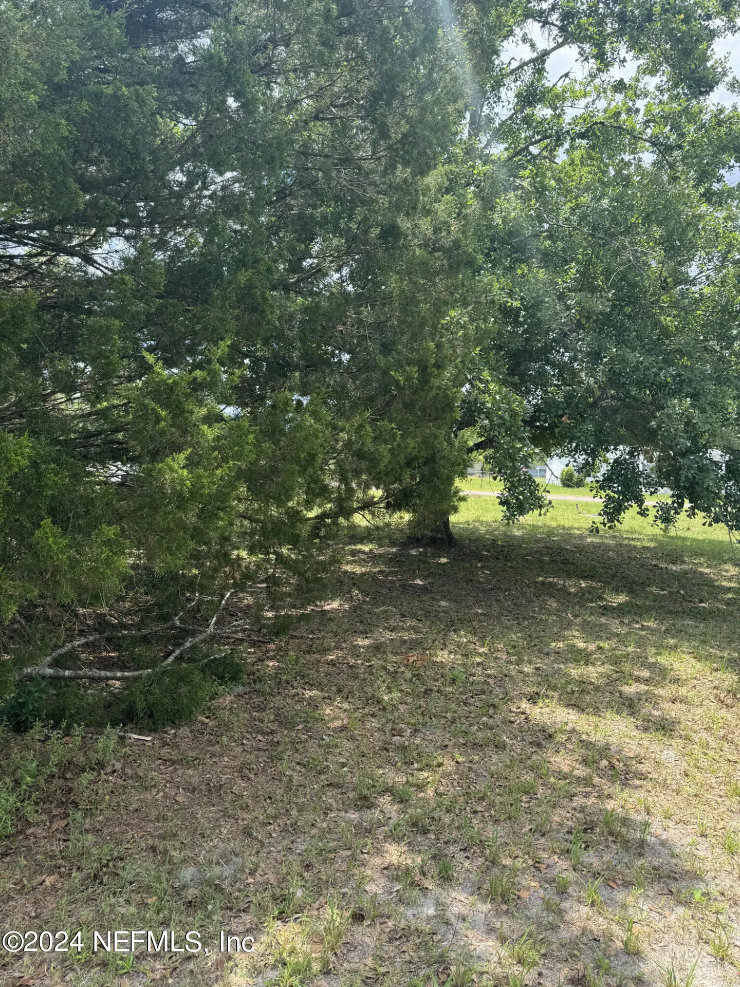 1598 Long Horn Road Middleburg FL 32068