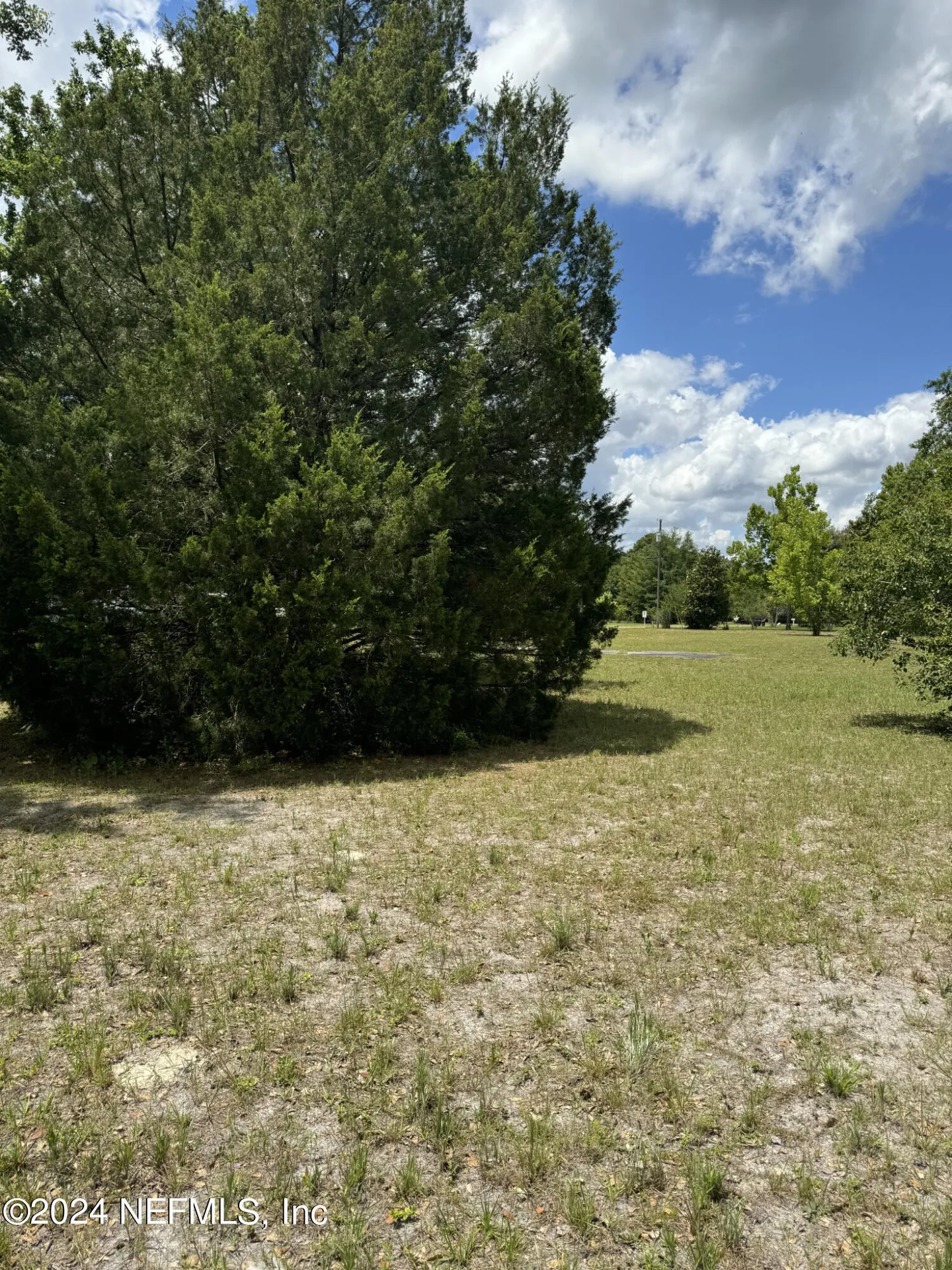 1598 Long Horn Road Middleburg FL 32068