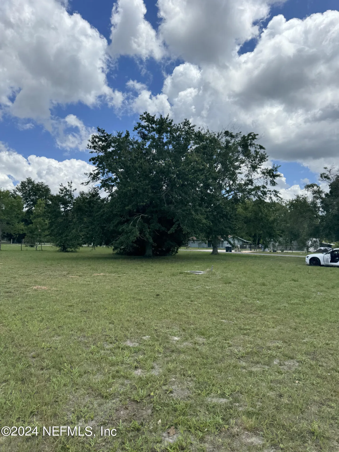 1598 Long Horn Road Middleburg FL 32068