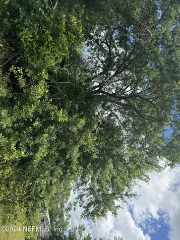 1598 Long Horn Road Middleburg FL 32068