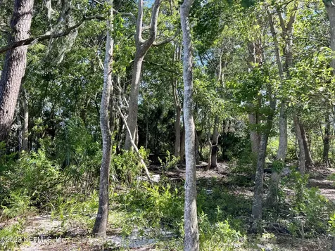 654 S Orange Avenue Green Cove Springs FL 32043