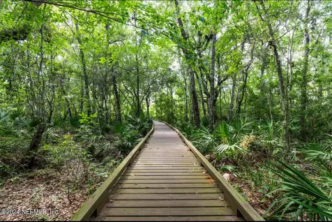 3460 Mainard Branch Court Fleming Island FL 32003