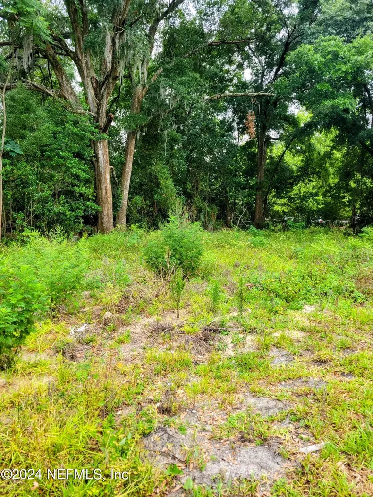 1302 Cleveland Avenue Palatka FL 32177
