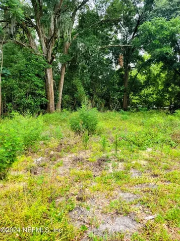 1302 Cleveland Avenue Palatka FL 32177