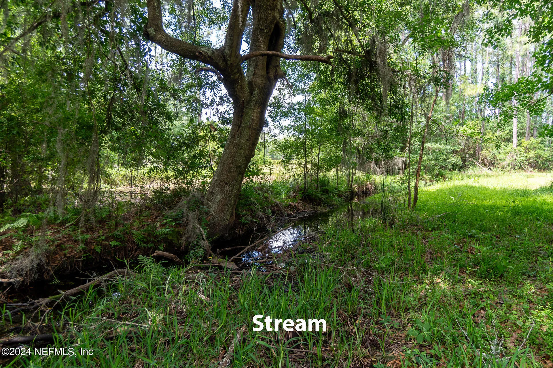 3257 Stratton Road Jacksonville FL 32221