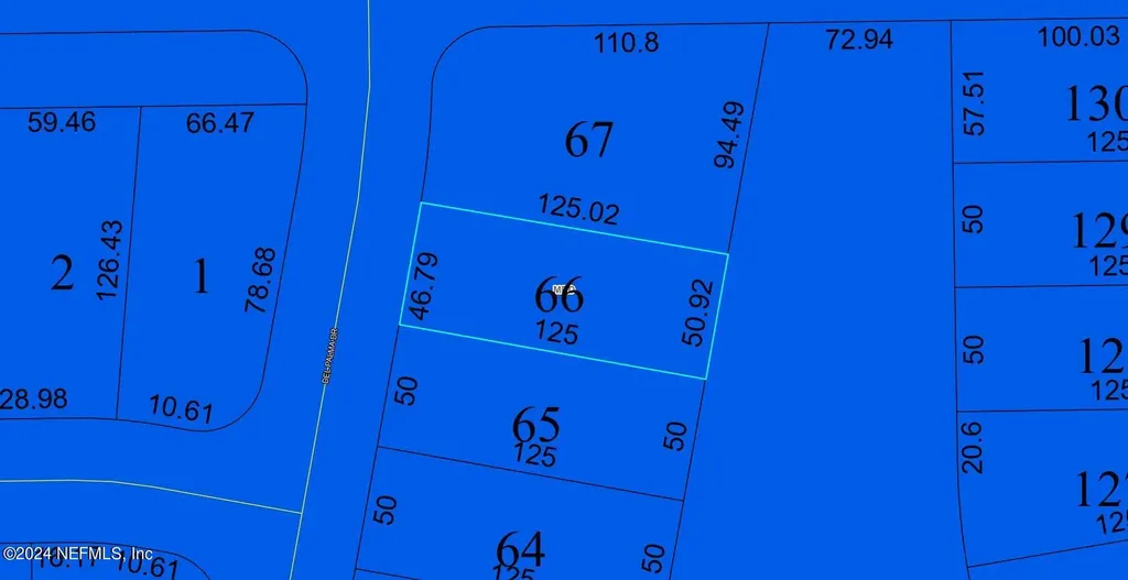 132 Del Palma Drive Palm Coast FL 32137