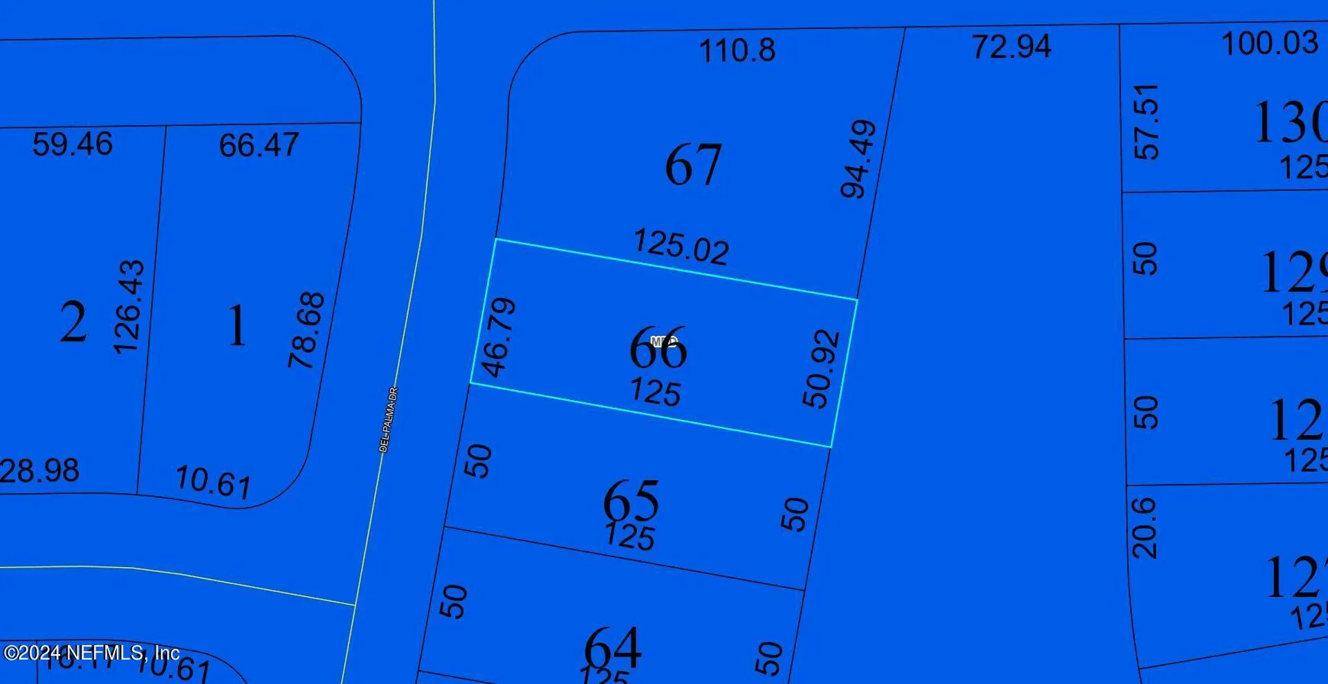 132 Del Palma Drive Palm Coast FL 32137
