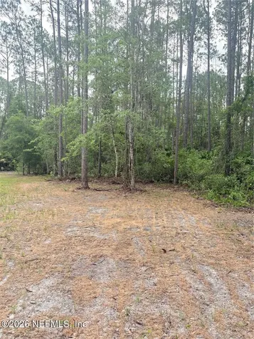 2132 Lancewood Street Bunnell FL 32110