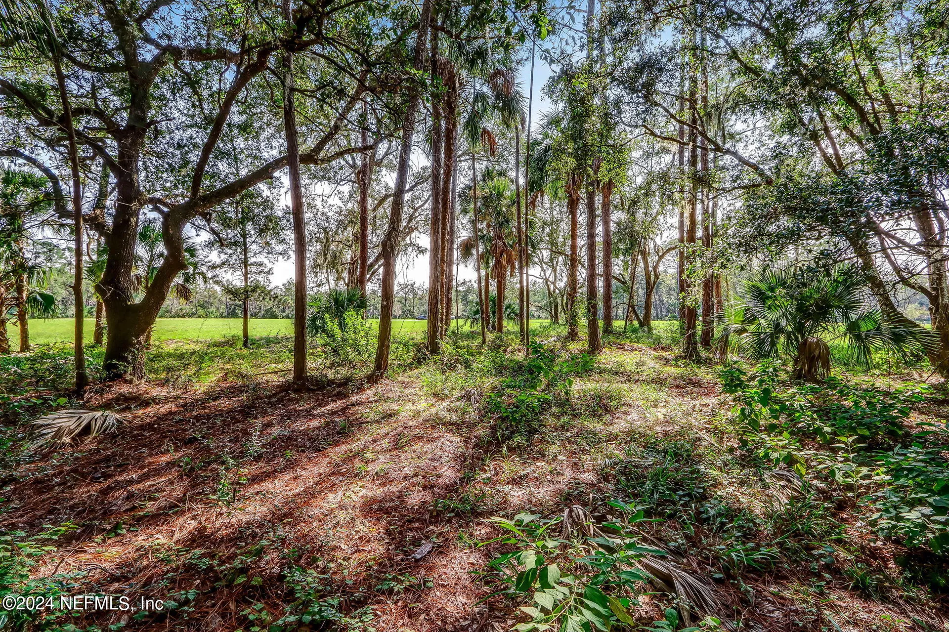 557 Shell Ridge Lane Ponte Vedra FL 32081