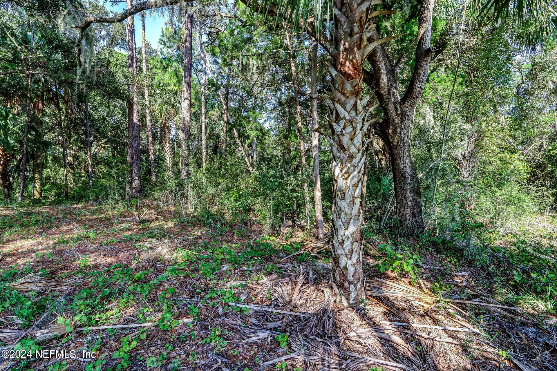 557 Shell Ridge Lane Ponte Vedra FL 32081