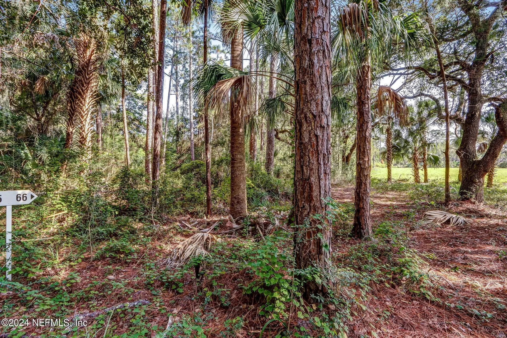 557 Shell Ridge Lane Ponte Vedra FL 32081