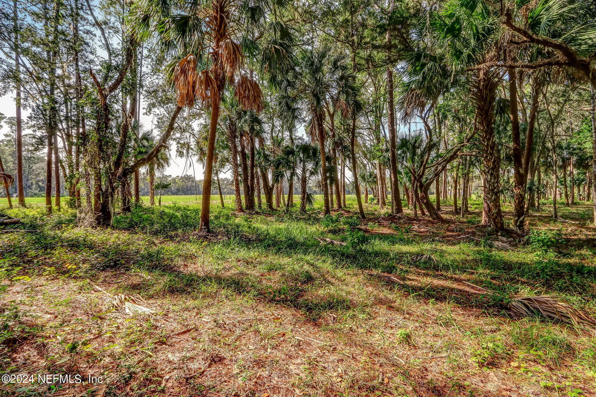 539 Shell Ridge Lane Ponte Vedra FL 32081
