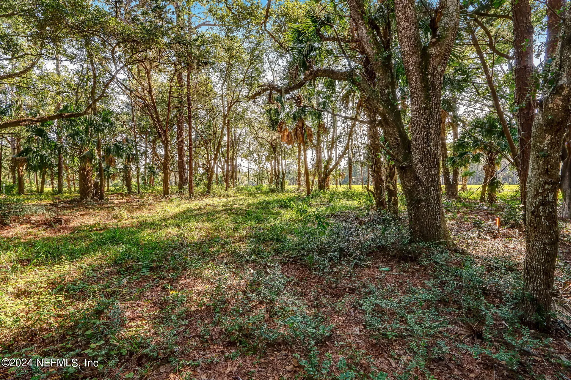 539 Shell Ridge Lane Ponte Vedra FL 32081