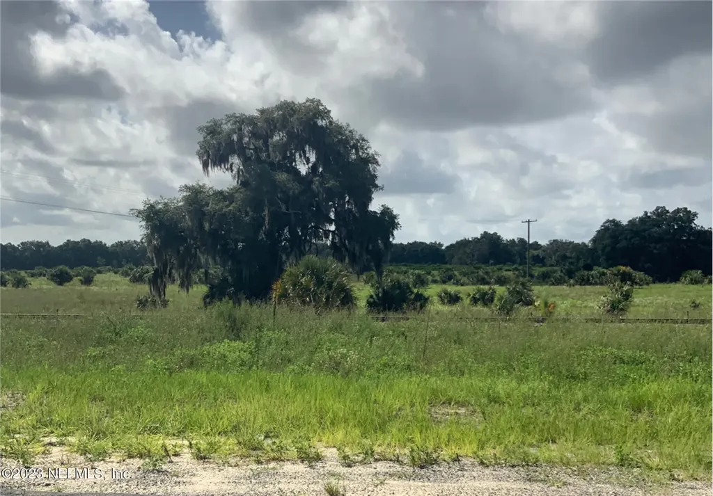 7245 SE 246 Terrace Hawthorne FL 32640