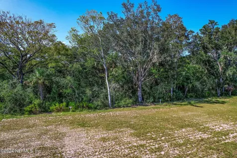 164 Whistling Palm Court Ponte Vedra FL 32081