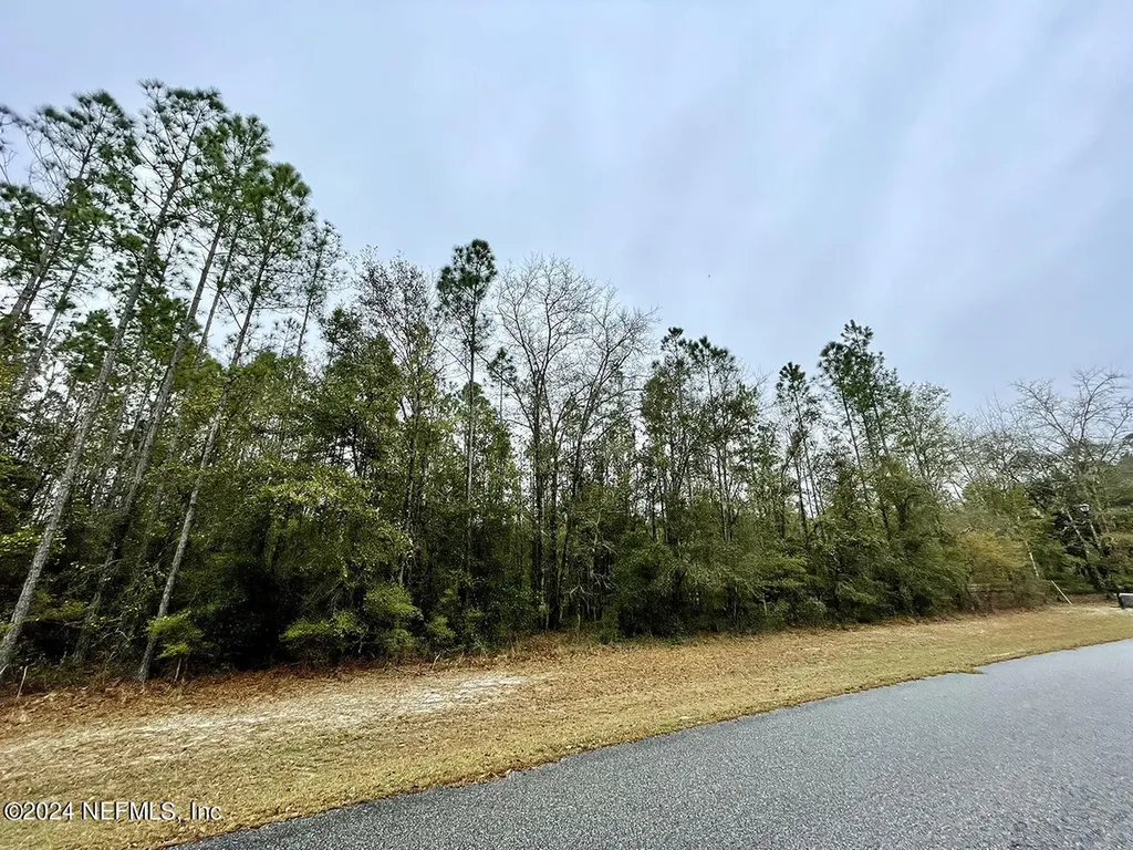 15436 Bullock Bluff Road Bryceville FL 32009