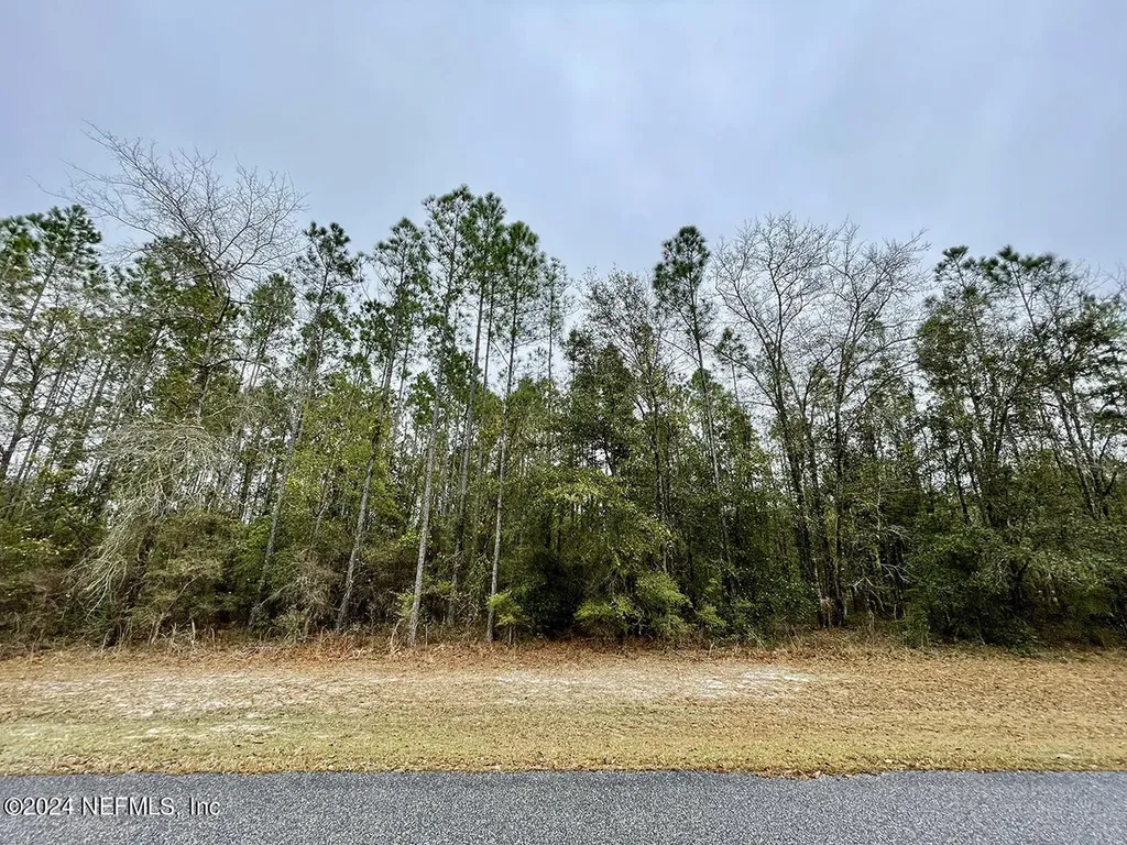 15436 Bullock Bluff Road Bryceville FL 32009