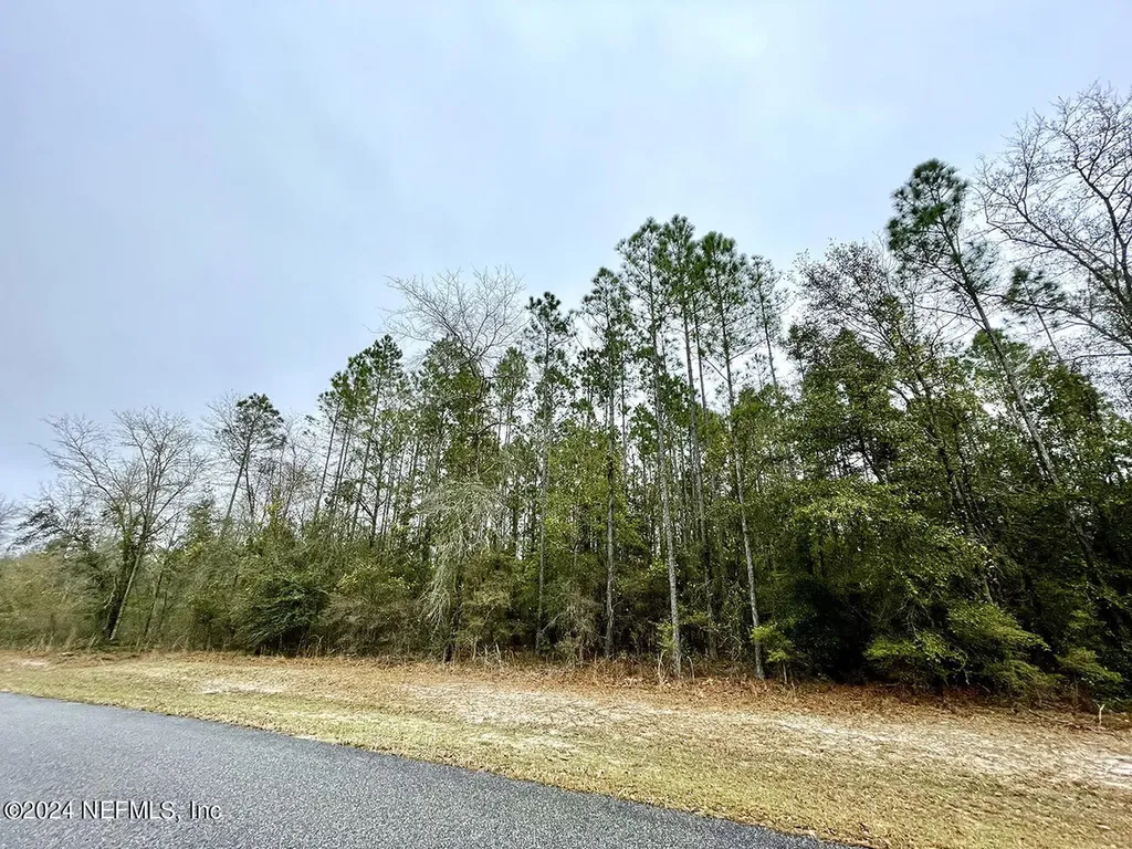 15436 Bullock Bluff Road Bryceville FL 32009